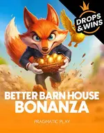 Better Barn House Bonanza