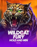 Wildcat Fury